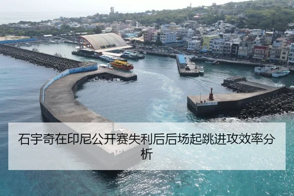 石宇奇在印尼公开赛失利后后场起跳进攻效率分析