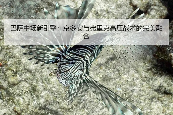 ba-sa-zhong-chang-xin-yin-qing-jing-duo-an-yu-fu-li-ke-gao-ya-zhan-shu-de-wan-mei-rong-he-3-545.jpg