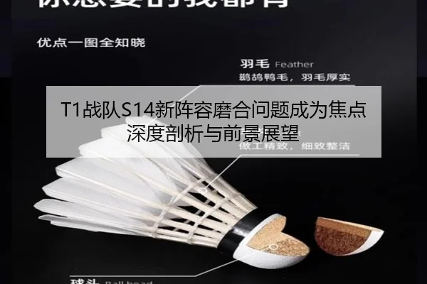 zhan-dui-xin-zhen-rong-mo-he-wen-ti-cheng-wei-jiao-dian-shen-du-pou-xi-yu-qian-jing-zhan-wang-3-505.jpg