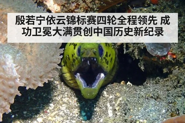 殷若宁依云锦标赛四轮全程领先 成功卫冕大满贯创中国历史新纪录